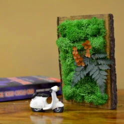 The Eternal Summer Tabletop Preserved Moss Frame In Wooden Bark