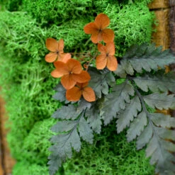 The Eternal Summer Tabletop Preserved Moss Frame In Wooden Bark 7 The Eternal Summer Tabletop Preserved Moss Frame In Wooden Bark -Plant Life Decor Shop the eternal summer 3