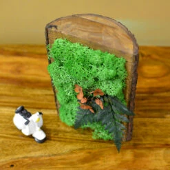 The Eternal Summer Tabletop Preserved Moss Frame In Wooden Bark 8 The Eternal Summer Tabletop Preserved Moss Frame In Wooden Bark -Plant Life Decor Shop the eternal summer 4