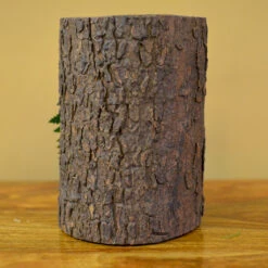 The Eternal Summer Tabletop Preserved Moss Frame In Wooden Bark 9 The Eternal Summer Tabletop Preserved Moss Frame In Wooden Bark -Plant Life Decor Shop the eternal summer 5