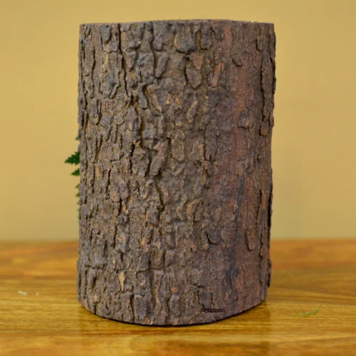 The Eternal Summer Tabletop Preserved Moss Frame In Wooden Bark -Plant Life Decor Shop the eternal summer 5