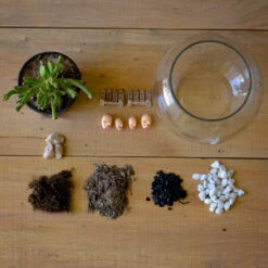 The Grimy Gollum Terrarium Kit -Plant Life Decor Shop the grimy gollum 4