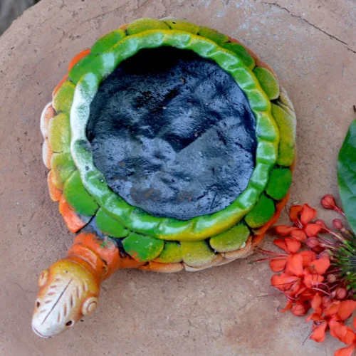 Terracotta Tortoise Succulent Planter (Mini) 7 Terracotta Tortoise Succulent Planter (Mini) -Plant Life Decor Shop tortoise6