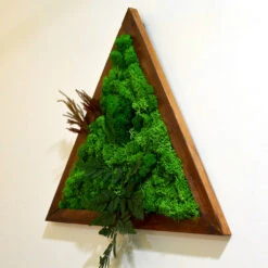 Triad Wilderness Preserved Moss Frame With Dark Wood -Plant Life Decor Shop triad wilderness 2