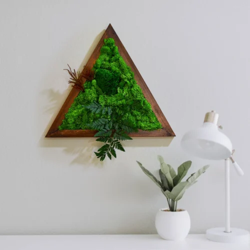 Triad Wilderness Preserved Moss Frame With Dark Wood