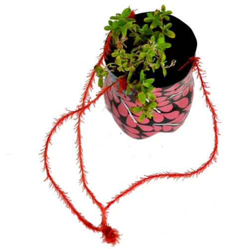 Hand-Painted Vertical Pot -Plant Life Decor Shop vertical planter plasticbottle black blue pink white2