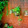 Wall Mounted Flower Pot Holder